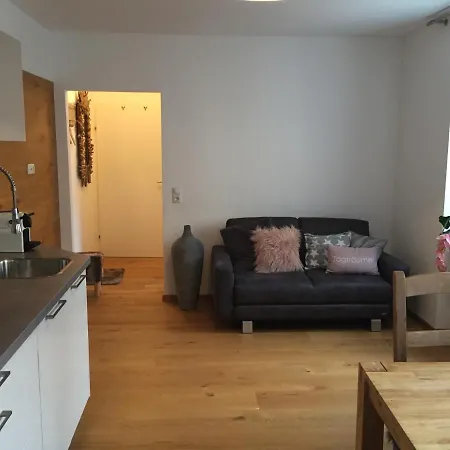 Apartment Mia 公寓 林茨